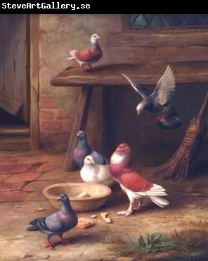 unknow artist Pigeons 064